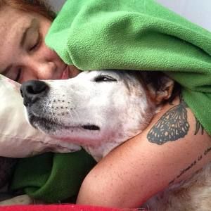 Meet your Posher, Avital